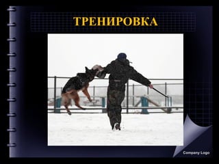 ТРЕНИРОВКА
Company Logo
 
