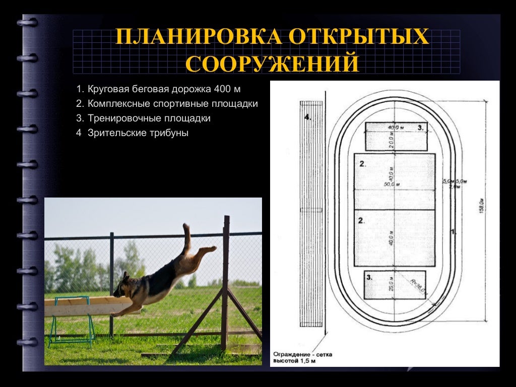 Газель кинологическая служба