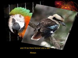 and I'll be there forever and a day – Always  