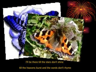 I'll be there till the stars don't shine  till the heavens burst and the words don't rhyme   