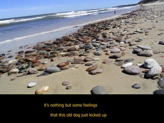 it's nothing but some feelings  that this old dog just kicked up  