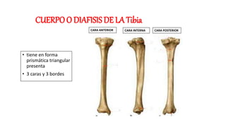 kinosioterapia[1].pptx