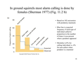 10
In ground squirrels most alarm calling is done by
females (Sherman 1977) (Fig. 11.2 b)
• Based on 102 encounters
with predatory mammals
• Blue line is expected
frequency if each type of
individual called in
proportion to the number
of times it was present
when a predator appeared
• Mortality is 8% for
calling individual vs. 4%
for non-callers when
predator is a mammal
 