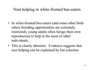 12
Nest helping in white-fronted bee-eaters
• In white-fronted bee-eaters (and some other birds
where breeding opportunities are extremely
restricted), young adults often forego their own
reproduction to help at the nests of other
individuals.
• This is clearly altruistic. Evidence suggests that
nest helping can be explained by kin selection
 