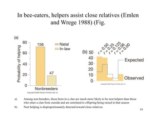 14
In bee-eaters, helpers assist close relatives (Emlen
and Wrege 1988) (Fig.
a) Among non-breeders, those born in a clan are much more likely to be nest helpers than those
who enter a clan from outside and are unrelated to offspring being raised in that season
b) Nest helping is disproportionately directed toward close relatives
 