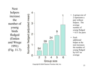15
Nest
helpers
increase
the
number of
young
birds
fledged
(Emlen
and Wrege
1991)
(Fig. 11.7)
• A group size of
2 represents a
pair without
helpers. The
average
number of
young fledged
= 0.51 for pairs
• Each
additional
helper at the
nest increases
the number of
young fledged
by 0.47 on
average
 