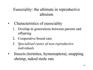 19
Eusociality: the ultimate in reproductive
altruism
• Characteristics of eusociality
1. Overlap in generations between parents and
offspring
2. Cooperative brood care
3. Specialized castes of non-reproductive
individuals
• Insects (termites, hymenoptera), snapping
shrimp, naked mole rats
 