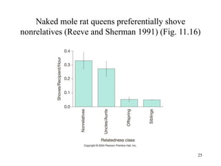 25
Naked mole rat queens preferentially shove
nonrelatives (Reeve and Sherman 1991) (Fig. 11.16)
 