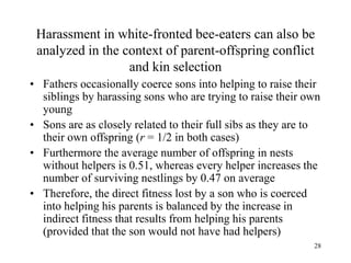 28
Harassment in white-fronted bee-eaters can also be
analyzed in the context of parent-offspring conflict
and kin selection
• Fathers occasionally coerce sons into helping to raise their
siblings by harassing sons who are trying to raise their own
young
• Sons are as closely related to their full sibs as they are to
their own offspring (r = 1/2 in both cases)
• Furthermore the average number of offspring in nests
without helpers is 0.51, whereas every helper increases the
number of surviving nestlings by 0.47 on average
• Therefore, the direct fitness lost by a son who is coerced
into helping his parents is balanced by the increase in
indirect fitness that results from helping his parents
(provided that the son would not have had helpers)
 