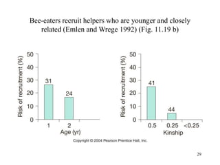 29
Bee-eaters recruit helpers who are younger and closely
related (Emlen and Wrege 1992) (Fig. 11.19 b)
 