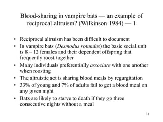 31
Blood-sharing in vampire bats — an example of
reciprocal altruism? (Wilkinson 1984) — 1
• Reciprocal altruism has been difficult to document
• In vampire bats (Desmodus rotundus) the basic social unit
is 8 – 12 females and their dependent offspring that
frequently roost together
• Many individuals preferentially associate with one another
when roosting
• The altruistic act is sharing blood meals by regurgitation
• 33% of young and 7% of adults fail to get a blood meal on
any given night
• Bats are likely to starve to death if they go three
consecutive nights without a meal
 