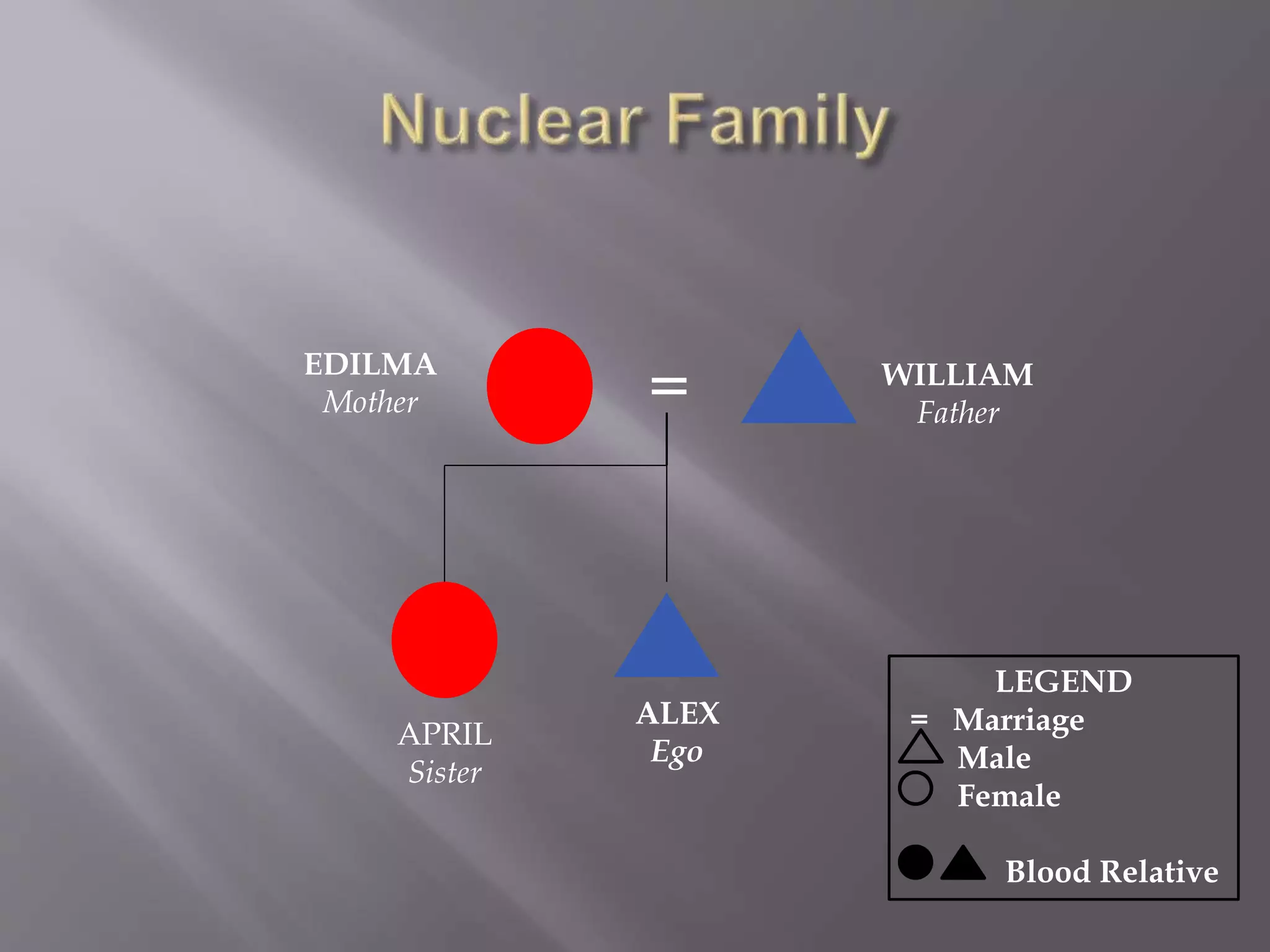 ALEX
Ego
WILLIAM
Father
EDILMA
Mother
APRIL
Sister
=
LEGEND
= Marriage
Male
Female
Blood Relative