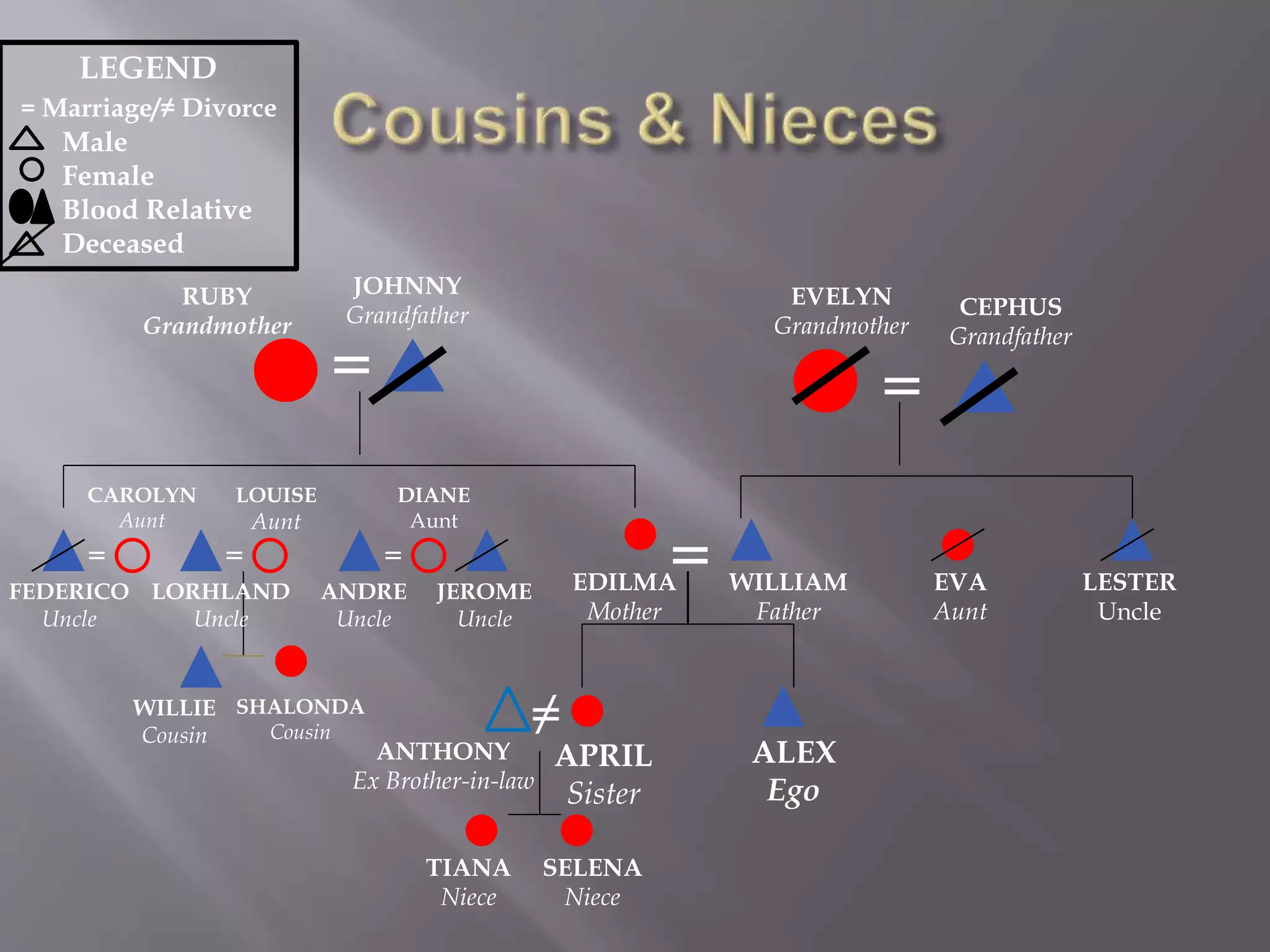 ALEX
Ego
WILLIAM
Father
EDILMA
Mother
APRIL
Sister
=
=
JOHNNY
Grandfather
RUBY
Grandmother
=
CEPHUS
Grandfather
EVELYN
Grandmother
=
FEDERICO
Uncle
CAROLYN
Aunt
JEROME
Uncle
ANDRE
Uncle
=
DIANE
Aunt
LORHLAND
Uncle
=
LOUISE
Aunt
LESTER
Uncle
EVA
Aunt
LEGEND
= Marriage/≠ Divorce
Male
Female
Blood Relative
Deceased
≠
ANTHONY
Ex Brother-in-law
TIANA
Niece
SELENA
Niece
WILLIE
Cousin
SHALONDA
Cousin