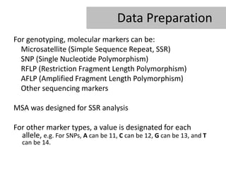 Data Preparation
For genotyping, molecular markers can be:
  Microsatellite (Simple Sequence Repeat, SSR)
  SNP (Single Nucleotide Polymorphism)
  RFLP (Restriction Fragment Length Polymorphism)
  AFLP (Amplified Fragment Length Polymorphism)
  Other sequencing markers

MSA was designed for SSR analysis

For other marker types, a value is designated for each
  allele, e.g. For SNPs, A can be 11, C can be 12, G can be 13, and T
   can be 14.
 