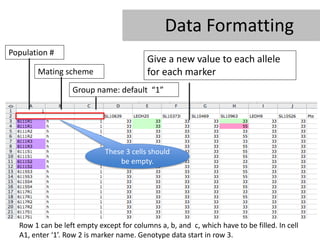 Data Formatting
Population #
                                          Give a new value to each allele
       Mating scheme                      for each marker
                  Group name: default “1”




                             These 3 cells should
                                 be empty.




  Row 1 can be left empty except for columns a, b, and c, which have to be filled. In cell
  A1, enter ‘1’. Row 2 is marker name. Genotype data start in row 3.
 