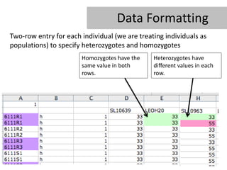 Data Formatting
Two-row entry for each individual (we are treating individuals as
populations) to specify heterozygotes and homozygotes
                       Homozygotes have the    Heterozygotes have
                       same value in both      different values in each
                       rows.                   row.
 