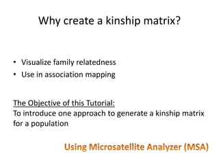 Why create a kinship matrix?


• Visualize family relatedness
• Use in association mapping


The Objective of this Tutorial:
To introduce one approach to generate a kinship matrix
for a population
 