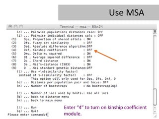 Use MSA




Enter “4” to turn on kinship coefficient
module.
 