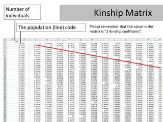 Number of
individuals                         Kinship Matrix
     The population (line) code   Please remember that the value in the
                                  matrix is “1-kinship coefficient”.
 