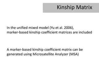 Kinship Matrix


In the unified mixed model (Yu et al. 2006),
marker-based kinship coefficient matrices are included



A marker-based kinship coefficient matrix can be
generated using Microsatellite Analyzer (MSA)
 