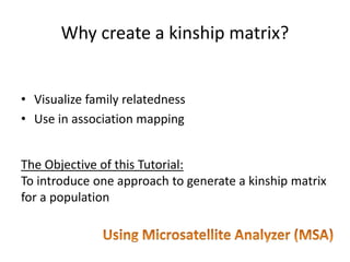Why create a kinship matrix?


• Visualize family relatedness
• Use in association mapping


The Objective of this Tutoria...