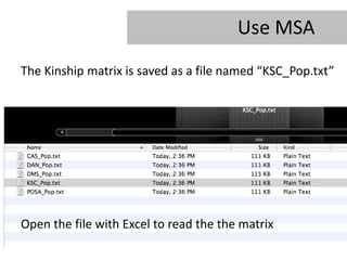 Use MSA
The Kinship matrix is saved as a file named “KSC_Pop.txt”




Open the file with Excel to read the the matrix
 