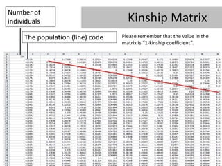 Number of
individuals                         Kinship Matrix
     The population (line) code   Please remember that the va...