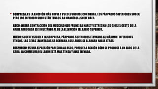 • SORPRESA: ES LA EMOCIÓN MÁS BREVE Y PUEDE FUNDIRSE CON OTRAS. LOS PÁRPADOS SUPERIORES SUBEN,
PERO LOS INFERIORES NO ESTÁN TENSOS. LA MANDÍBULA SUELE CAER.
ASCO: LIGERA CONTRACCIÓN DEL MÚSCULO QUE FRUNCE LA NARIZ Y ESTRECHA LOS OJOS. EL GESTO DE LA
NARIZ ARRUGADA ES SIMULTÁNEO AL DE LA ELEVACIÓN DEL LABIO SUPERIOR.
MIEDO: SUCEDE (SIGUE) A LA SORPRESA. PÁRPADOS SUPERIORES ELEVADOS AL MÁXIMO E INFERIORES
TENSOS. LAS CEJAS LEVANTADAS SE ACERCAN. LOS LABIOS SE ALARGAN HACIA ATRÁS.
DESPRECIO: ES UNA EXPRESIÓN PARECIDA AL ASCO, PORQUE LA ACCIÓN SÓLO SE PRODUCE A UN LADO DE LA
CARA. LA COMISURA DEL LABIO ESTÁ MÁS TENSA Y ALGO ELEVADA.
 