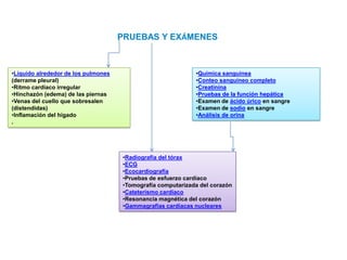 Aumento de la frecuencia cardiaca (FC) y de la contractilidad cardiaca como respuesta endocrina.