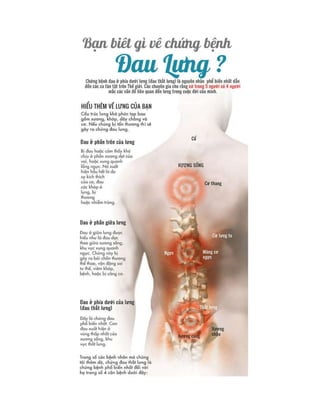 Kiến thức cơ bản về bệnh đau lưng