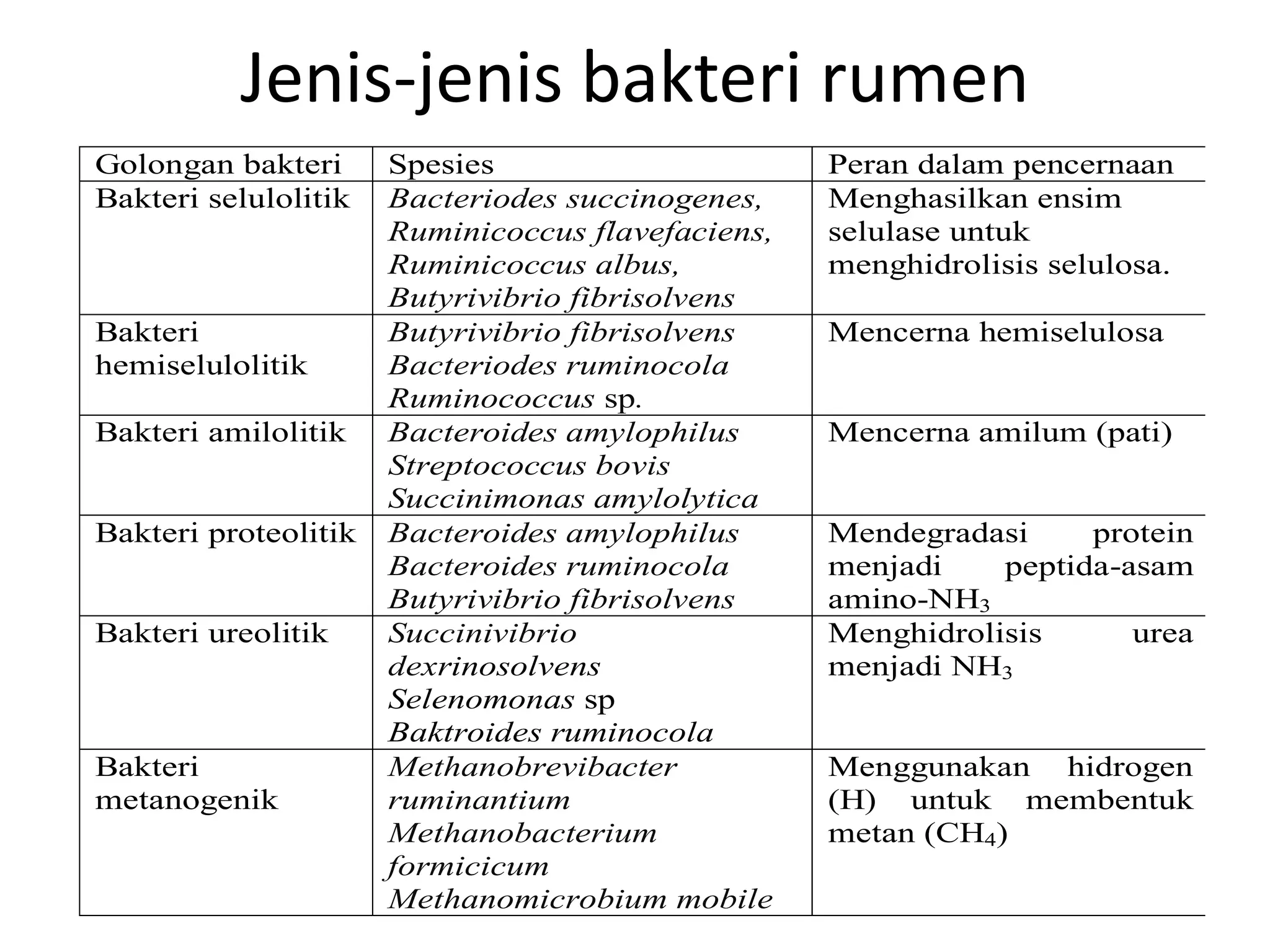 Mikroba rumen ruminansia | PPSX