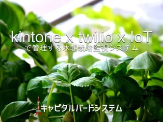kintone x twilio x IoT
で管理する水耕栽培監視システム
 