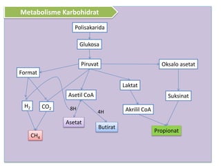 Sistem pencernaan ruminansia | PPSX