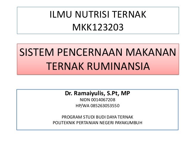 Sistem Pencernaan Ruminansia