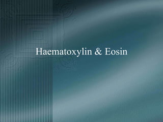 Haematoxylin & Eosin
 
