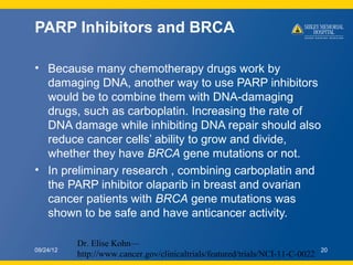 PARP Inhibitors and BRCA

• Because many chemotherapy drugs work by
  damaging DNA, another way to use PARP inhibitors
  w...