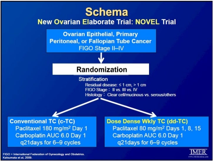 What's New in Ovarian Cancer Treatment