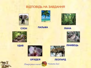 ВІДПОВІДЬ НА ЗАВДАННЯ УДАВ ЛІНИВЕЦЬ ОРХІДЕЯ ЛЕОПАРД СЛОН ПАЛЬМА ЛІАНА Повернутися назад Читати далі 