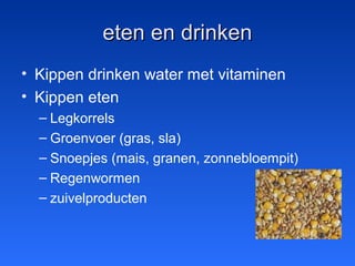 eten en drinkeneten en drinken
• Kippen drinken water met vitaminen
• Kippen eten
– Legkorrels
– Groenvoer (gras, sla)
– Snoepjes (mais, granen, zonnebloempit)
– Regenwormen
– zuivelproducten
 