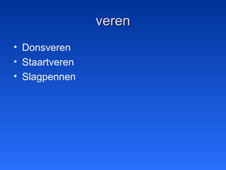 verenveren
• Donsveren
• Staartveren
• Slagpennen
 