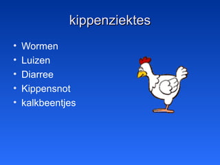 kippenziekteskippenziektes
• Wormen
• Luizen
• Diarree
• Kippensnot
• kalkbeentjes
 