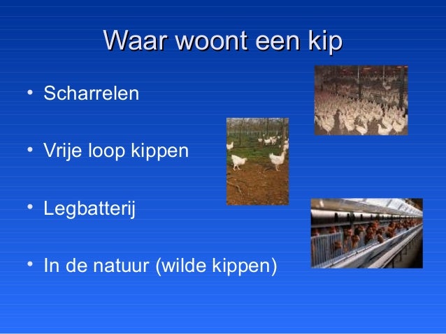 wat drinken bij diarree