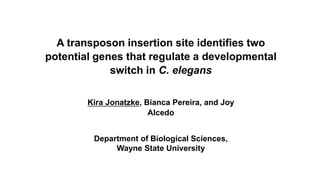 A transposon insertion site identifies two
potential genes that regulate a developmental
switch in C. elegans
Kira Jonatzke, Bianca Pereira, and Joy
Alcedo
Department of Biological Sciences,
Wayne State University
 