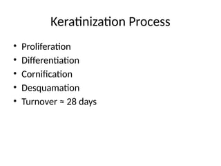 Cornification Process Comprehensive Physiology of Skin, Sebaceous and Sweat Glands in ...