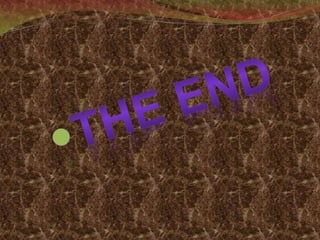 About The MS Word 2007