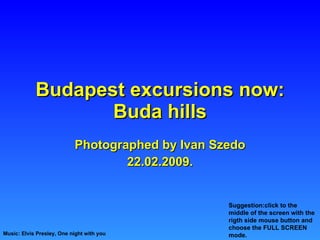 Budapest excursions now: Buda hills Photographed by Ivan Szedo 22.02.2009. Music: Elvis Presley, One night with you Suggestion:click to the middle of the screen with the rigth side mouse button and choose the FULL SCREEN mode. 