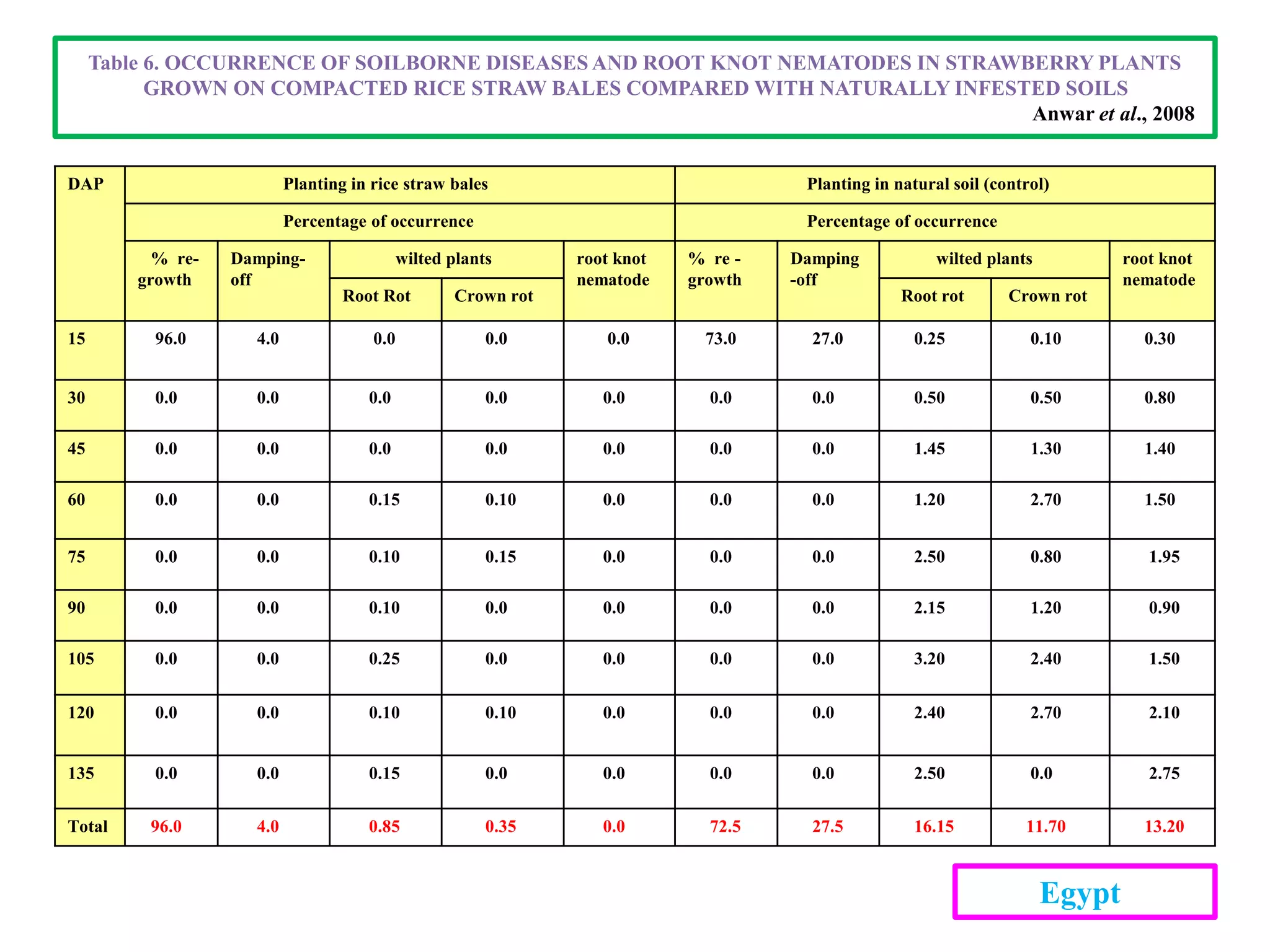 DAP Planting in rice straw bales Planting in natural soil (control)
Percentage of occurrence Percentage of occurrence
% re-
growth
Damping-
off
wilted plants root knot
nematode
% re -
growth
Damping
-off
wilted plants root knot
nematode
Root Rot Crown rot Root rot Crown rot
15 96.0 4.0 0.0 0.0 0.0 73.0 27.0 0.25 0.10 0.30
30 0.0 0.0 0.0 0.0 0.0 0.0 0.0 0.50 0.50 0.80
45 0.0 0.0 0.0 0.0 0.0 0.0 0.0 1.45 1.30 1.40
60 0.0 0.0 0.15 0.10 0.0 0.0 0.0 1.20 2.70 1.50
75 0.0 0.0 0.10 0.15 0.0 0.0 0.0 2.50 0.80 1.95
90 0.0 0.0 0.10 0.0 0.0 0.0 0.0 2.15 1.20 0.90
105 0.0 0.0 0.25 0.0 0.0 0.0 0.0 3.20 2.40 1.50
120 0.0 0.0 0.10 0.10 0.0 0.0 0.0 2.40 2.70 2.10
135 0.0 0.0 0.15 0.0 0.0 0.0 0.0 2.50 0.0 2.75
Total 96.0 4.0 0.85 0.35 0.0 72.5 27.5 16.15 11.70 13.20
Table 6. OCCURRENCE OF SOILBORNE DISEASES AND ROOT KNOT NEMATODES IN STRAWBERRY PLANTS
GROWN ON COMPACTED RICE STRAW BALES COMPARED WITH NATURALLY INFESTED SOILS
Anwar et al., 2008
Egypt
 