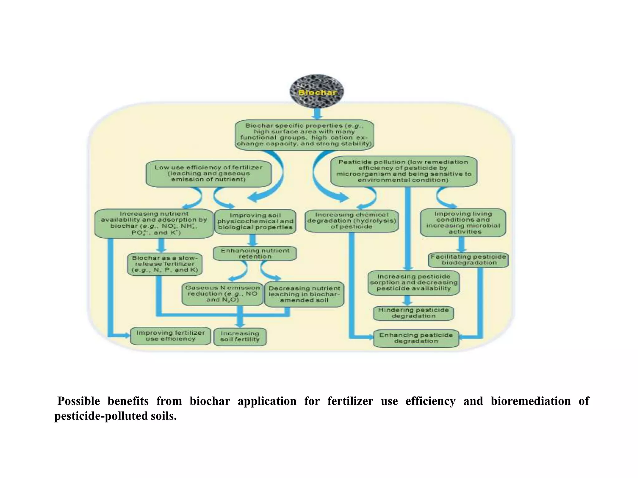 Possible benefits from biochar application for fertilizer use efficiency and bioremediation of
pesticide-polluted soils.
 