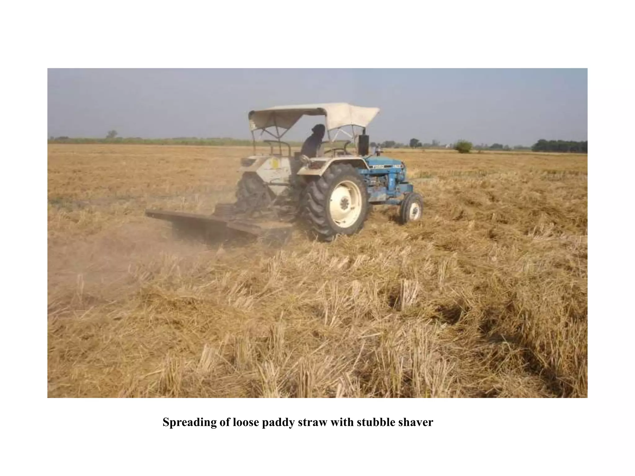 Spreading of loose paddy straw with stubble shaver
 