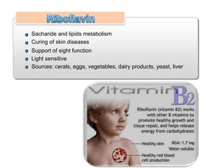 Sacharide and lipids metabolism
Curing of skin diseases
Support of sight function
Light sensitive
Sources: cerals, eggs, vegetables, dairy products, yeast, liver
 
